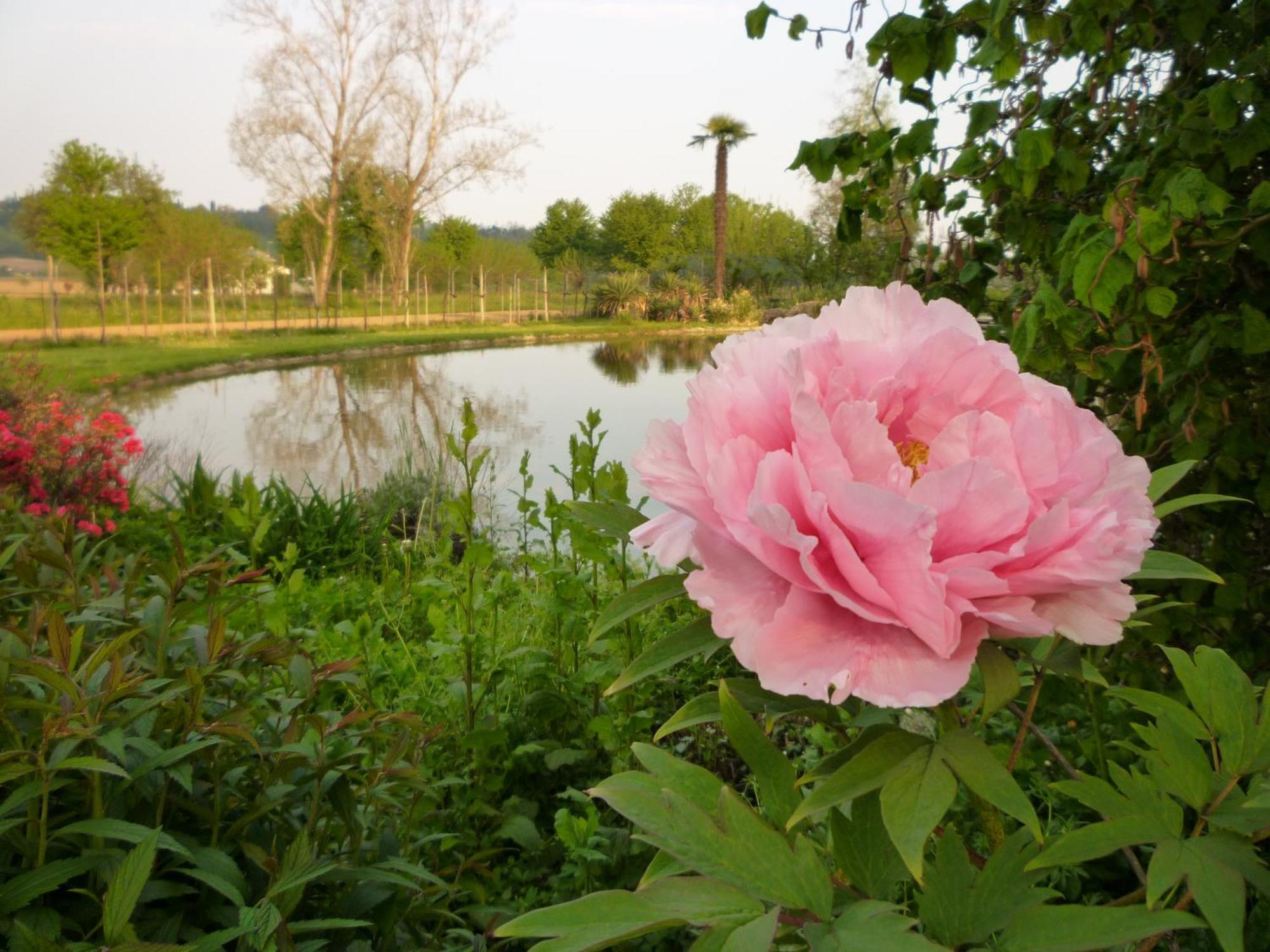 Country House Barone D'Asolo Luaran gambar