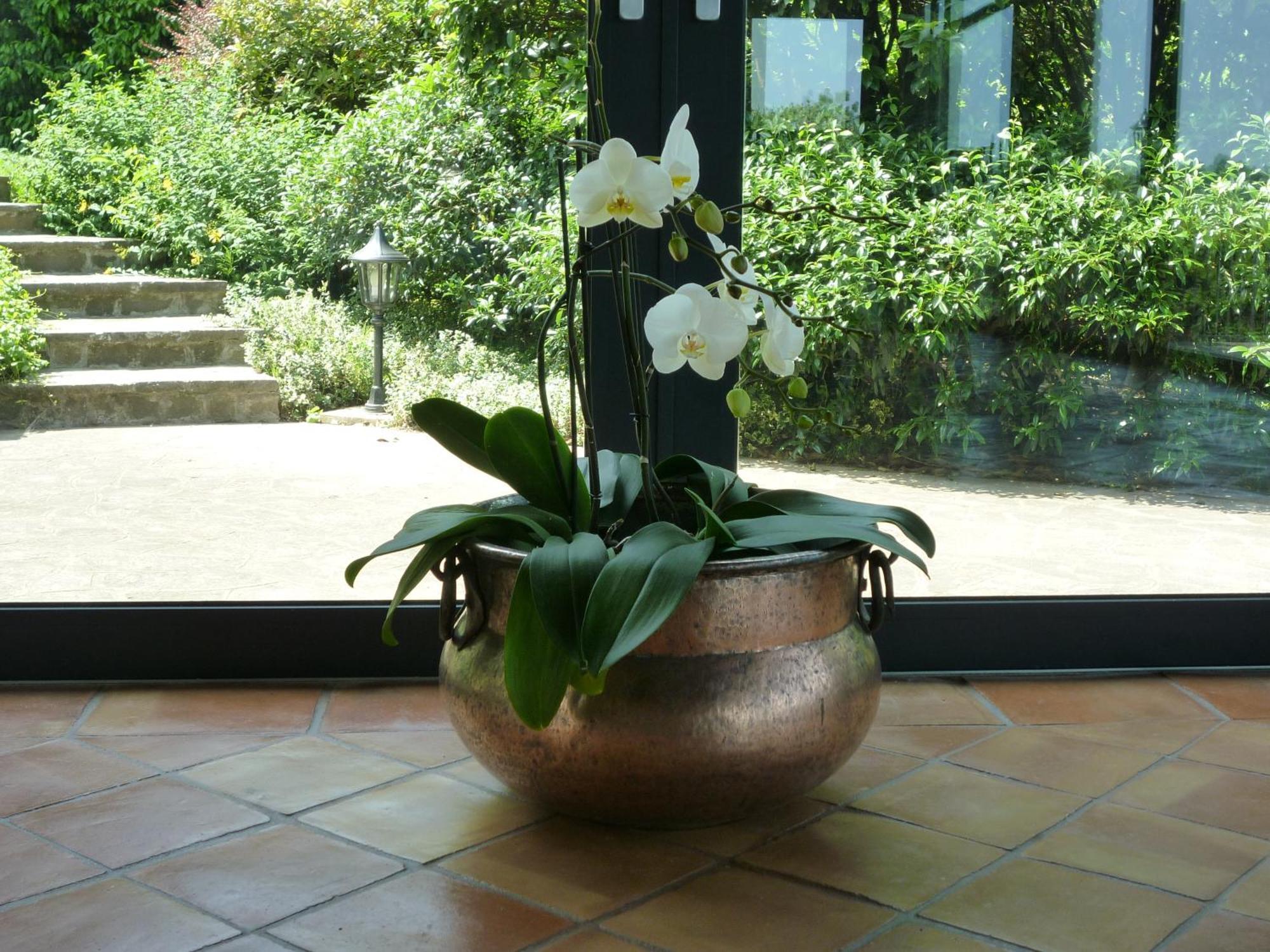 Country House Barone D'Asolo Luaran gambar